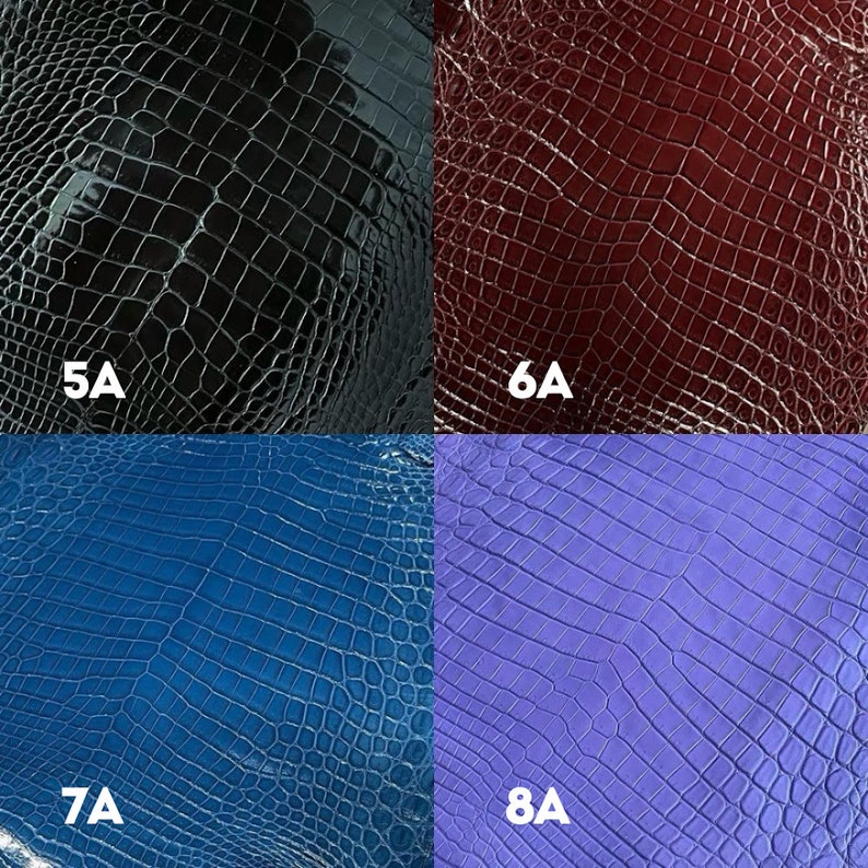 Puede incluir: Cuatro muestras de piel de cocodrilo en diferentes colores: negro, burdeos, azul y morado. Las muestras est&aacute;n etiquetadas como 5A, 6A, 7A y 8A.