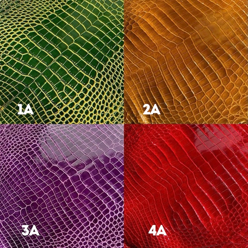 Puede incluir: Cuatro muestras de cuero con estampado de cocodrilo de diferentes colores. Las muestras est&aacute;n etiquetadas como 1A, 2A, 3A y 4A. Los colores son verde, naranja, morado y rojo.
