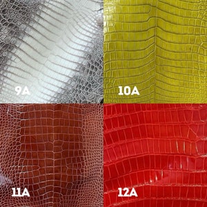 Puede incluir: Cuatro cuadrados de piel de cocodrilo en diferentes colores: blanco, amarillo, marr&oacute;n y rojo. Cada cuadrado est&aacute; etiquetado con un n&uacute;mero y la letra "A".