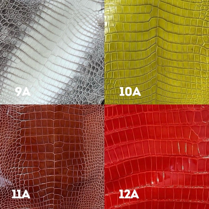 Puede incluir: Cuatro cuadrados de piel de cocodrilo en diferentes colores: blanco, amarillo, marr&oacute;n y rojo. Cada cuadrado est&aacute; etiquetado con un n&uacute;mero y la letra "A".
