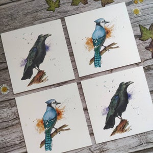 Carte carrée oiseau : corbeau ou geai bleu, format 15 x 15 cm - d'après aquarelle originale