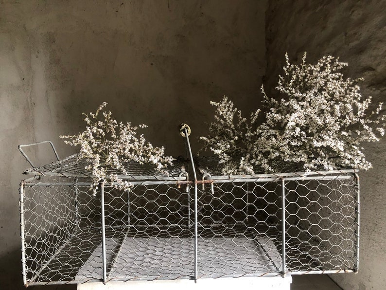 Antique Xxl French Oysters Wire Basket Gardening Flowers Shells Basket Nordic Living