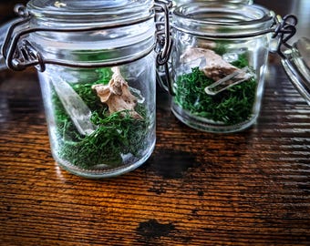 Lemurian rock crystal in a glass with bones and preserved moss | Spiritual decor | Witchy glass | Altar decoration | Crystal jar