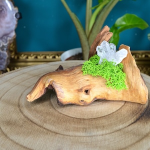 Root decoration wood decoration rock crystal moss moss picture wood