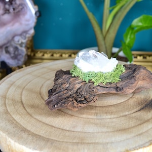 Root decoration wood decoration rock crystal moss moss picture wood