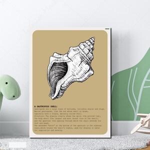 Gastropod Shell Anatomy Art Print | Marine Snail Digital Download | Detailed Ocean Illustration | Educational Nature Decor, Science Wall Art