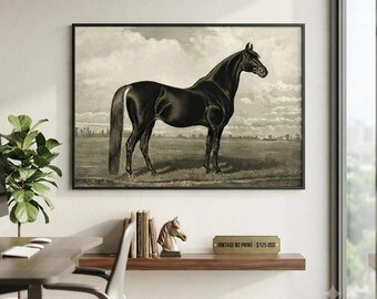 Black Horse Art Print | Elegant Stallion Poster | Monochrome Equine Wall Art | Farmhouse Decor | Horse Lover Poster | Horse Digital Download