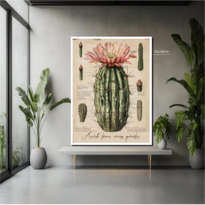 Vintage Kaktus Druck | Blühende Wüste Sukkulenten Wandkunst | Antikes wissenschaftliches botanisches Plakat, Boho Blumen-Kunst, Kaktusplakat