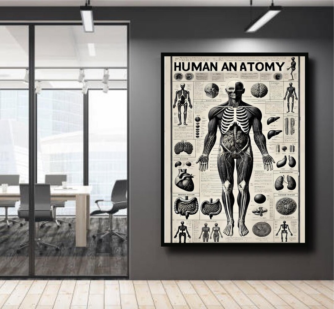 Vintage Human Anatomy Poster | Medical Science Wall Art | Skeleton ...