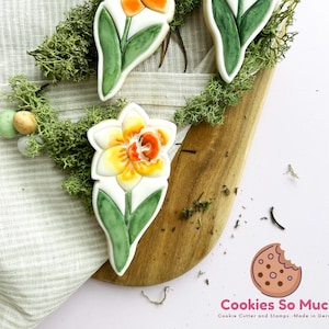 Daffodil cookie stamp cookie cutter