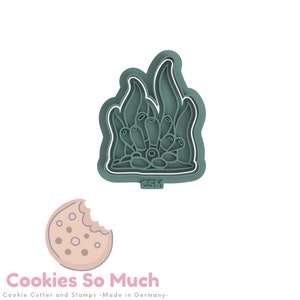 Coral cookie stamp, cookie stamp, cookie cutter