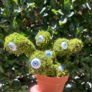 Labyrinth Eye Lichen Movie Prop Replica