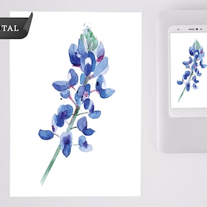 Printable Watercolor Bluebonnet Flower, Texas Flower Digital Illustration, Floral Wall Art, Instant Download, PNG Files