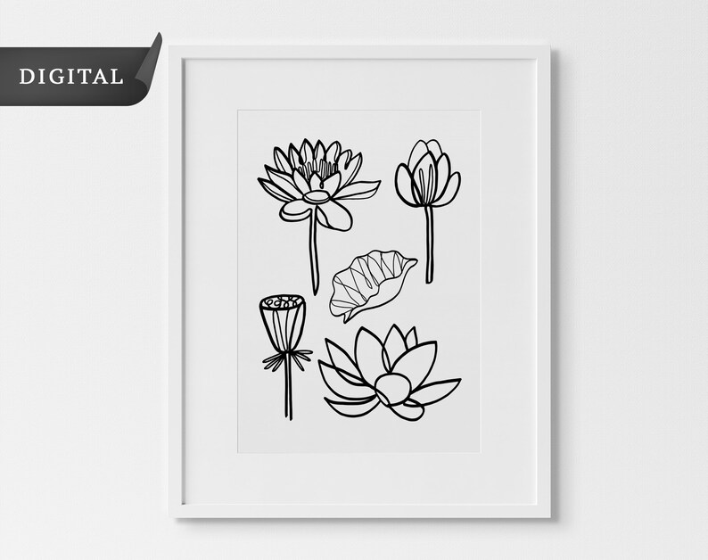 Birth Flower Digital Illustrations Lotus SVG July Flower - Etsy