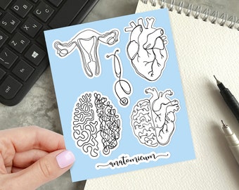 Anatomy Sticker Sheet, Line Art Stickers, Health Stickers, Science Stickers, Biology Stickers, Body Stickers, Laptop Stickers