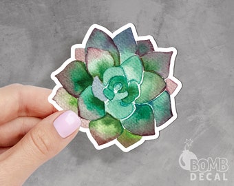 Succulents Sticker, Flower Sticker, Beautiful Sticker, Plant Sticker, Macbook Sticker, Succ Sticker, Laptop Stickers