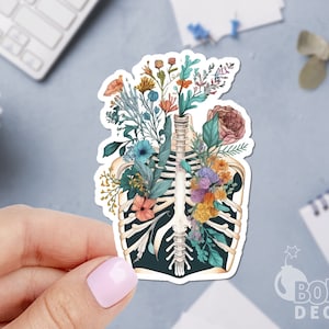 Floral Rib Anatomy Sticker, Ortho Sticker, Medical Sticker, Human Body Sticker, Laptop Sticker