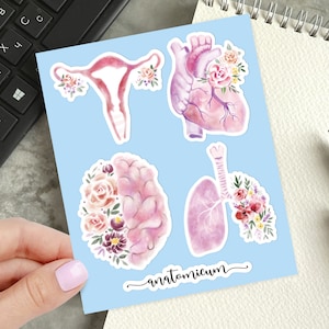 Anatomy Sticker Sheet, Floral Stickers, Health Stickers, Science Stickers, Biology Stickers, Body Stickers, Laptop Stickers
