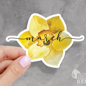 Könnte beinhalten: Ein gelber Aquarell-Narzissen-Aufkleber mit dem Wort "march" in Schreibschrift. Der Aufkleber hat einen weißen Rand und befindet sich auf grauem Hintergrund. Der Aufkleber ist ein Blumendesign.