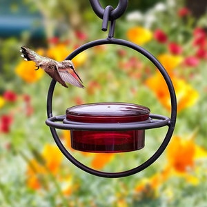 Red Glass Hummingbird Feeder for Hanging Outdoors - Hummingbirds Nectar Feeders,  Gifts for Women, Hummingbird Decor