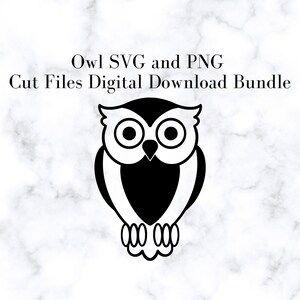 Owl SVG and PNG Cut Files, Digital Download Bundle