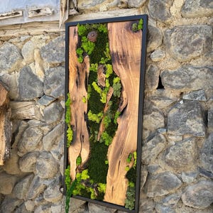 Moss and Wood Wall Art, Natural Wood, Preserved Moss Wall Decor, Rustic Greenery Decoration for Home and Office, Olive Wood Art, Wall Art