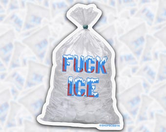 F*ck ICE Sticker, Political Sticker, Protest Decal, Activist Sticker, Funny Edgy Vinyl Sticker, Car Laptop Sticker