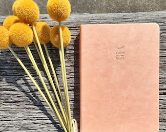Symptoms Journal | Food Diary, Chronic Pain Tracker, Wellness Journal | Lyme, Anxiety, CFS, Crohn's, Endometriosis, Spoonies, Perimenopause