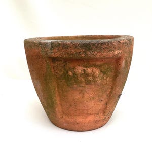 Vaso per piante in terracotta inglese dei primi del XX secolo. Altezza 17 cm