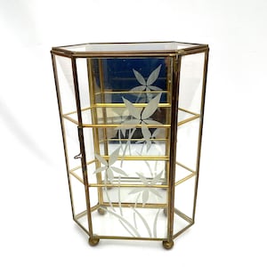 Vintage Glass Mirror Display Cabinet: Etched Floral Miniature Case