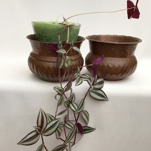Pair of Antique Copper Plant Pots Planter.  D. 17cm