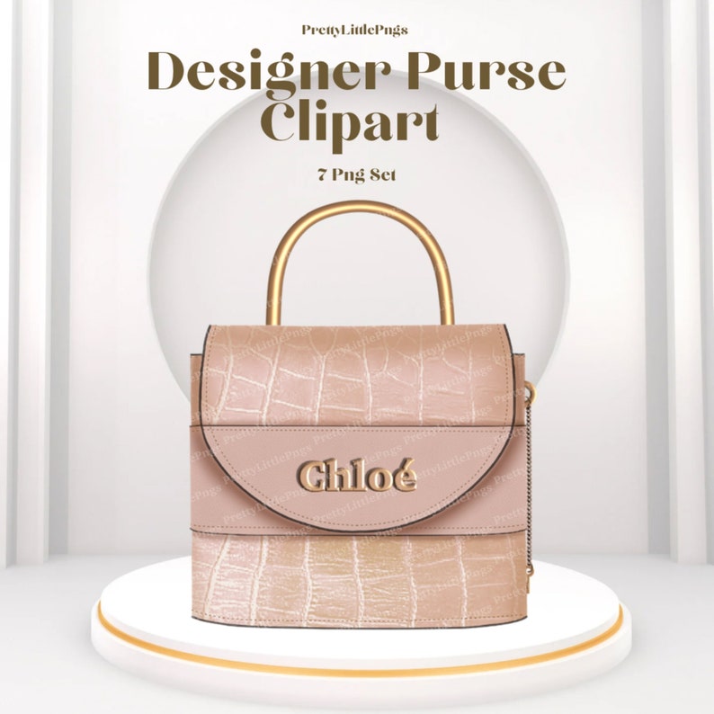 May include: A light pink designer purse with a gold chain and a gold handle. The purse has a crocodile-embossed texture and the word "Chlo&eacute;" is written in gold letters on the front.