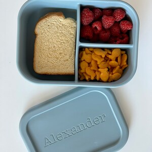 Puede incluir: Una fiambrera de silicona azul con tres compartimentos. Los compartimentos contienen un s&aacute;ndwich, frambuesas y galletas de pescado. La tapa de la fiambrera es azul y tiene el nombre "Alexander" grabado.
