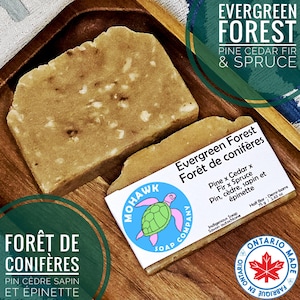 Evergreen Forest Soap | Cedar Pine Fir Spruce