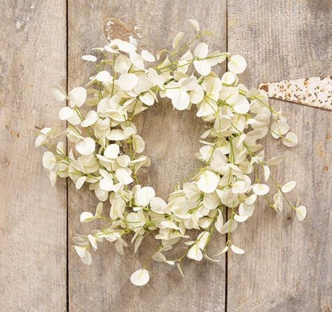 Foamy Silver Dollar Wreath Cream 20 Housewarming Etsy