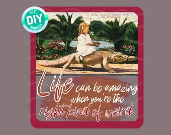 Impresión en lienzo Solo DIY LIFE puede ser increíble cuando tienes el tipo correcto de gráfico extraño. ¡Añádelo a tu propia franela o chaqueta en casa!