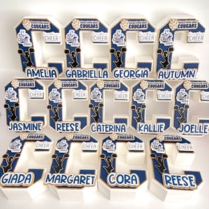 May include: A set of 10 white foam cheerleading numbers decorated with gold glitter and blue paint. Each number features a cheerleader silhouette and the text "Stoney Creek Junior Cougars JV Cheer 2023". The numbers are arranged in a row and spell out the names Amelia, Gabriella, Georgia, Autumn, Jasmine, Reese, Caterina, Kallie, Joelle, Giada, Margaret, Cora, and Reese.