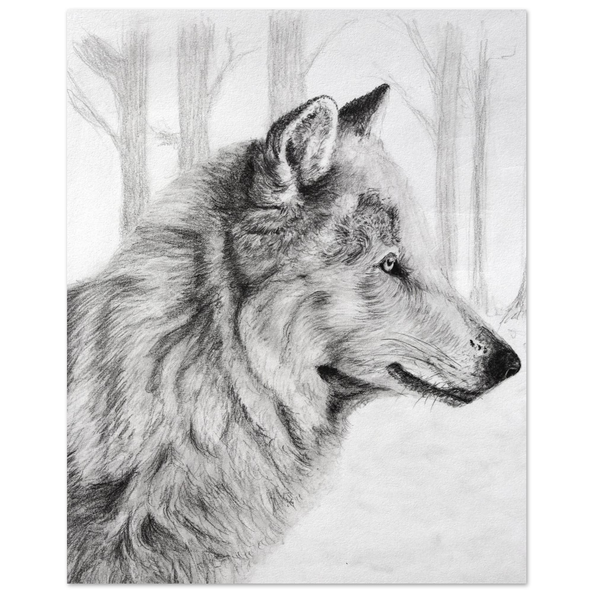 Wolf bleistiftzeichnung - Etsy Österreich, image size:2000x2000