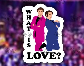 A Night at the Roxbury, what is love? Sticker, movie quote sticker, 90's movies, will Ferrell, chris kattan, vinyl, decal, free shipping