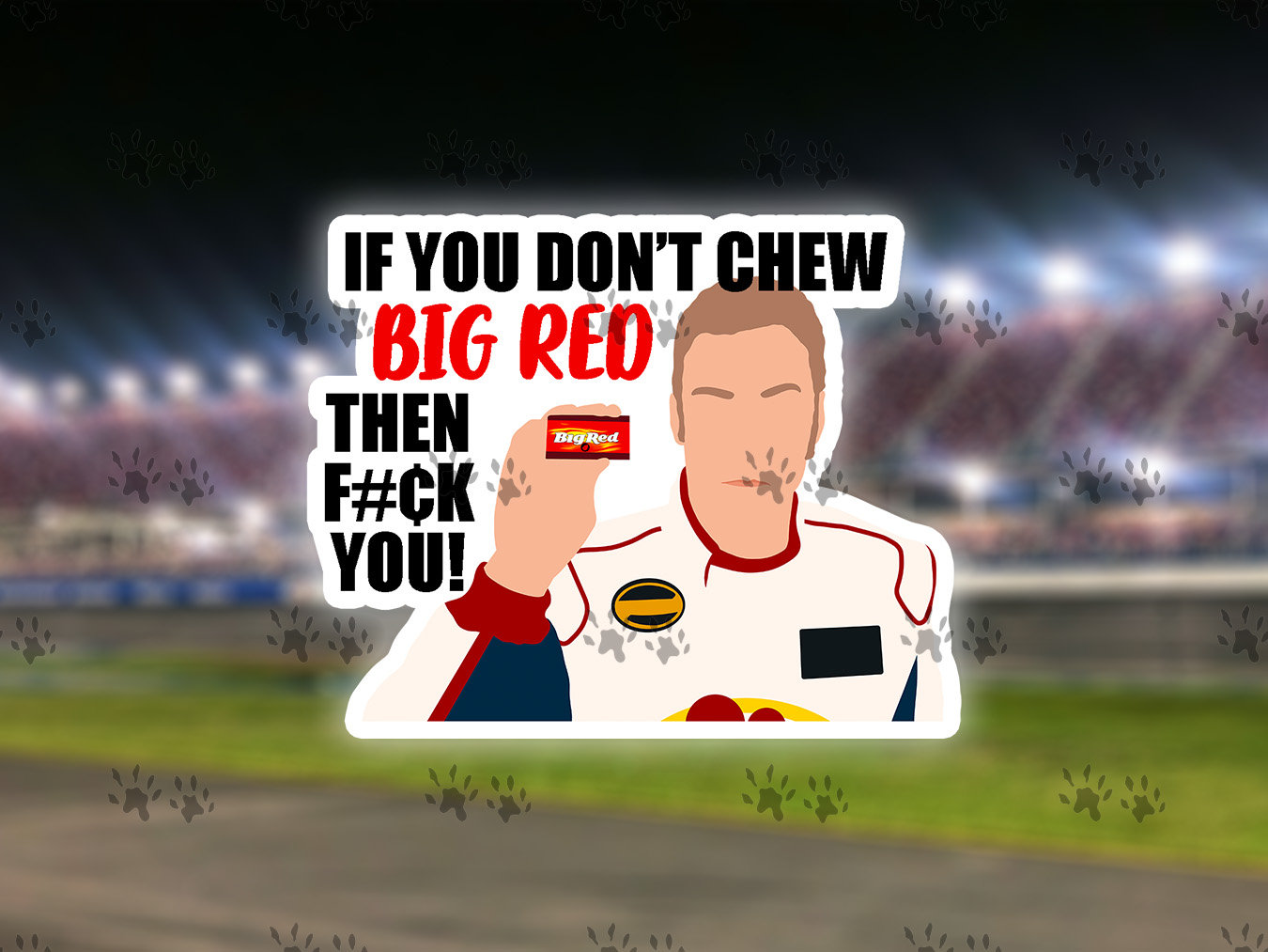 Funny Quotes About Racing