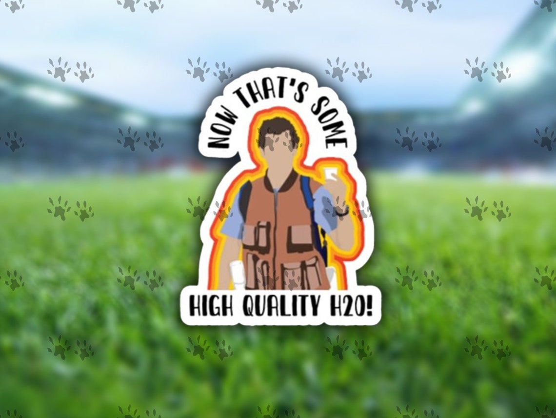 Now Thats Some High Quality H20 Sticker Waterboy Sticker Etsy India