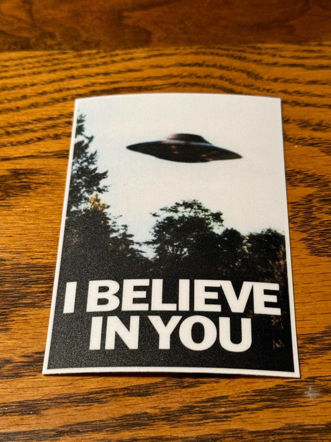 Stratosphere Sticker I Believe in You/ Stratosphere Grays. Vinyl Sticker. X Files Parody ...