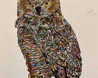 Colorful Owl