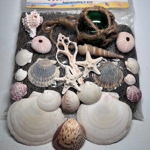 May include: A decorative fish net with a green glass float, seashells, and starfish. The net is approximately 5 feet by 10 feet.