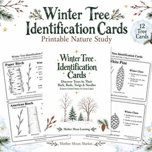 May include: A set of 12 printable Winter Tree Identification Cards featuring illustrations of trees, bark, buds, twigs, and needles. The cover page displays the title Winter Tree Identification Cards, Discover Trees by Their Bark, Buds, Twigs & Needles, Eastern United States & Great Lakes, and Mother Moon Learning.