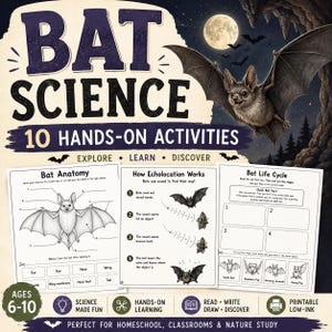 May include: A Bat Science educational activity set featuring 10 hands-on activities. The cover displays a bat in flight under a full moon with the text Bat Science 10 Hands-On Activities. Includes worksheets on bat anatomy, echolocation, and life cycles.