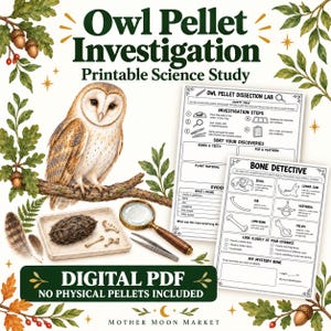 Peut inclure: Une étude scientifique en PDF numérique intitulée Owl Pellet Investigation avec un effraie des clochers sur une branche, un plateau avec une pelote et des os, une loupe, une pince et deux fiches nommées Owl Pellet Dissection Lab et Bone Detective.