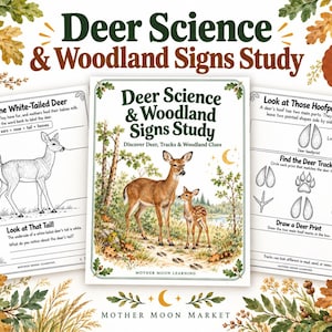 Peut inclure: Un ensemble éducatif Deer Science & Woodland Signs Study comprenant une page de couverture centrale illustrée d'un cerf et d'un faon, entourée de deux fiches d'activités intitulées Meet the White-Tailed Deer et Look at Those Hoofprints.