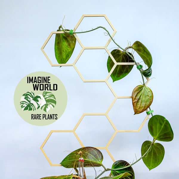 Plant Trellis | Plant Support | 3d Printed Honeycomb 50cm Hexagon Climbers Plant Accessories For Monstera Philodendron Hoya Pothos Anthurium