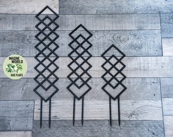 Plant Trellis | 3d Printed | Rhombuses | 3 Sizes | Plant Support | Climbers | Accessories For Monstera Philodendron Hoya Pothos Anthurium